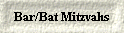  Bar/Bat Mitzvahs 